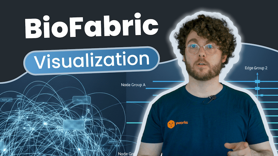 An Introduction to BioFabric Visualization