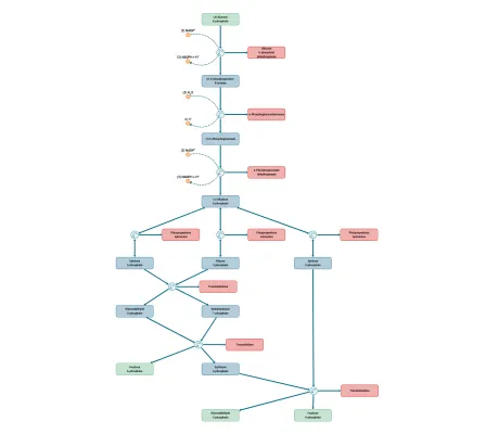 Thumbnail for the demo: Metabolic Pathways
