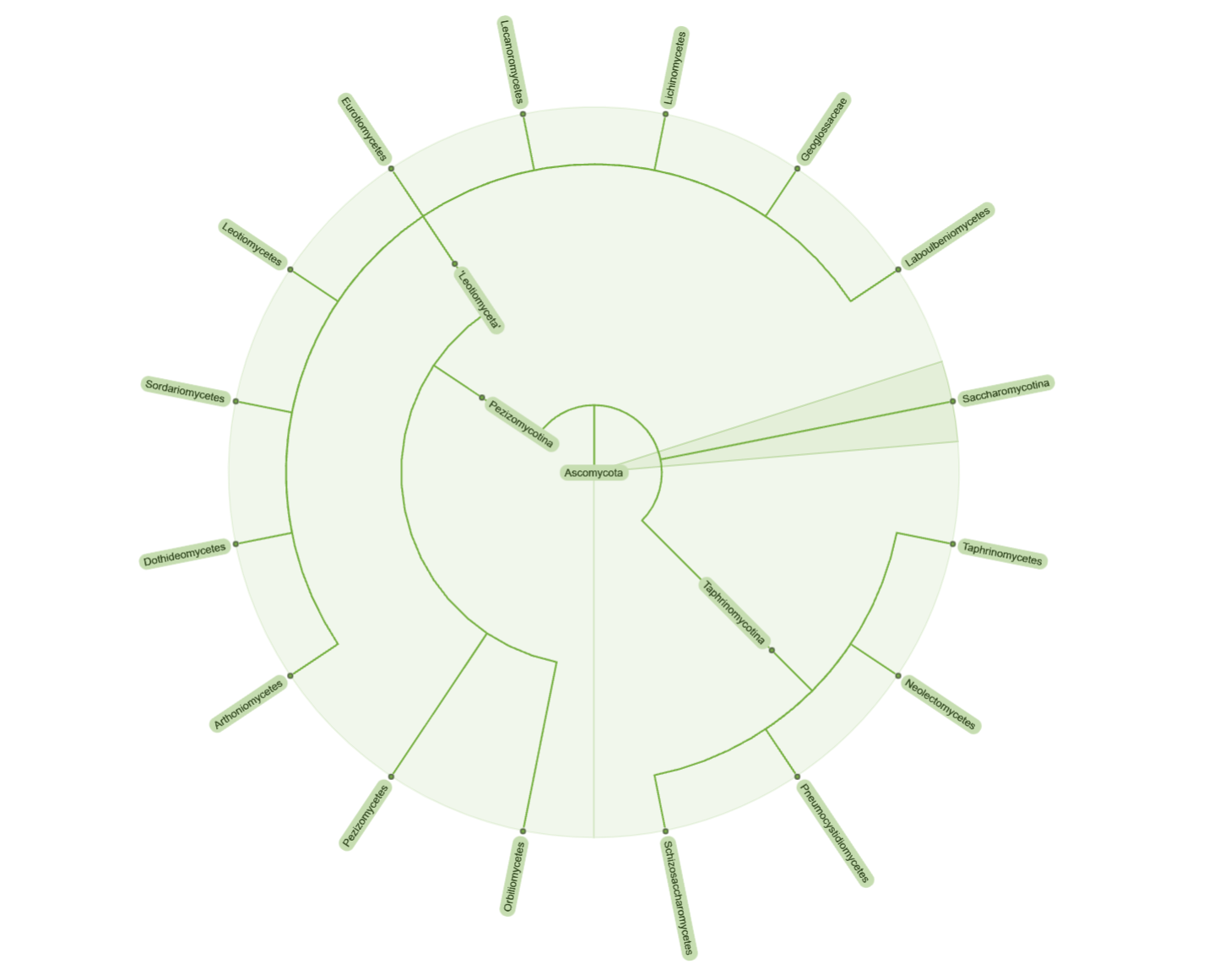 Automatic node labeling